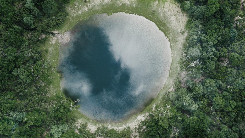 Le biogaz, un gaz vert made in France