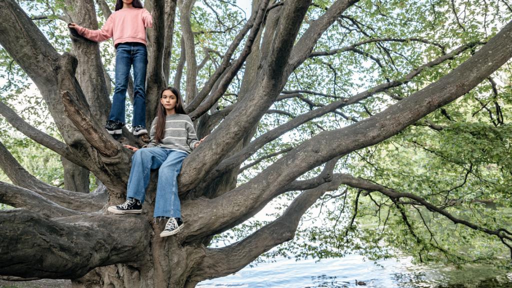 Elle organise des concerts en forêt pour sensibiliser à leur protection