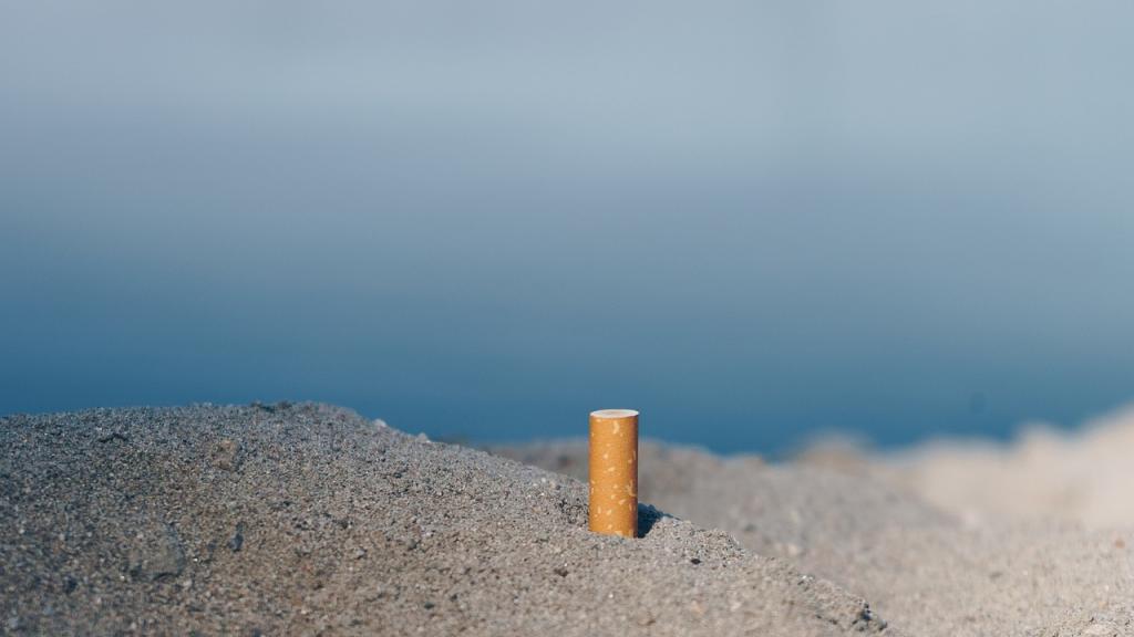 Dieppe : des boites à mégots contre la pollution des plages