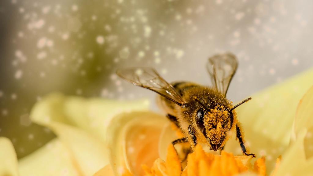 5 technologies étonnantes pour protéger nos amies les abeilles