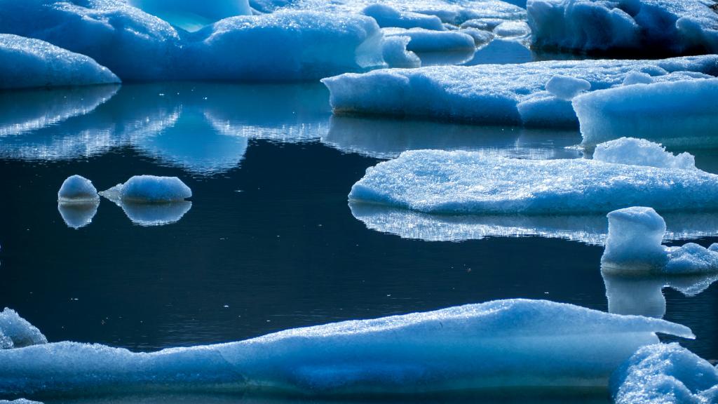 De la crème solaire au pôle nord qui nuit aux écosystemes