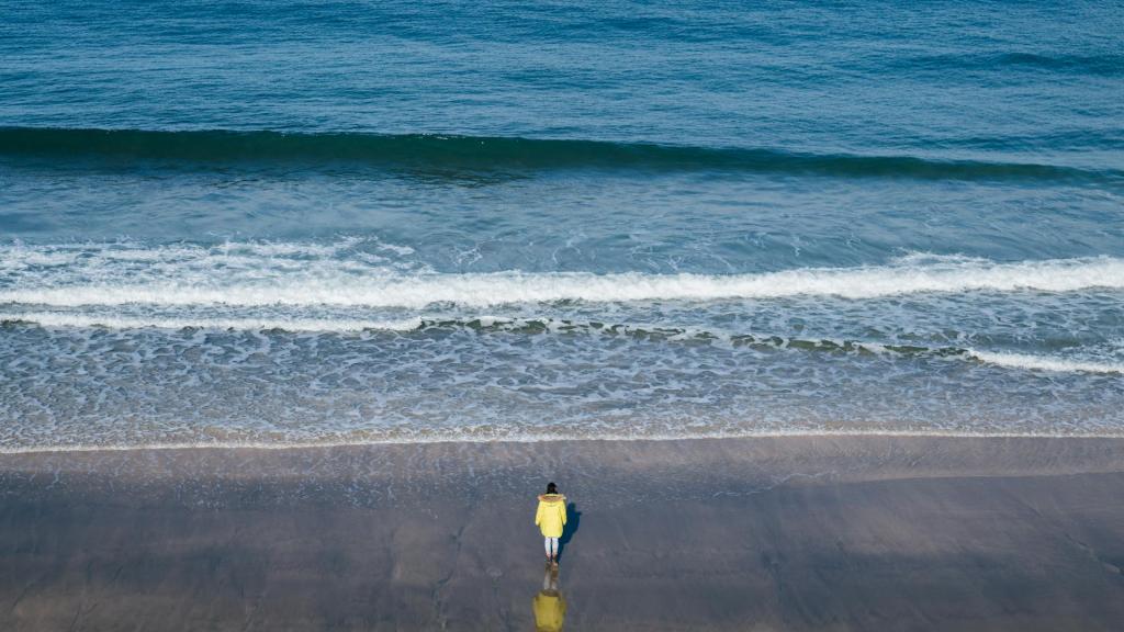 une personne en bord de mer regardant l'horizon