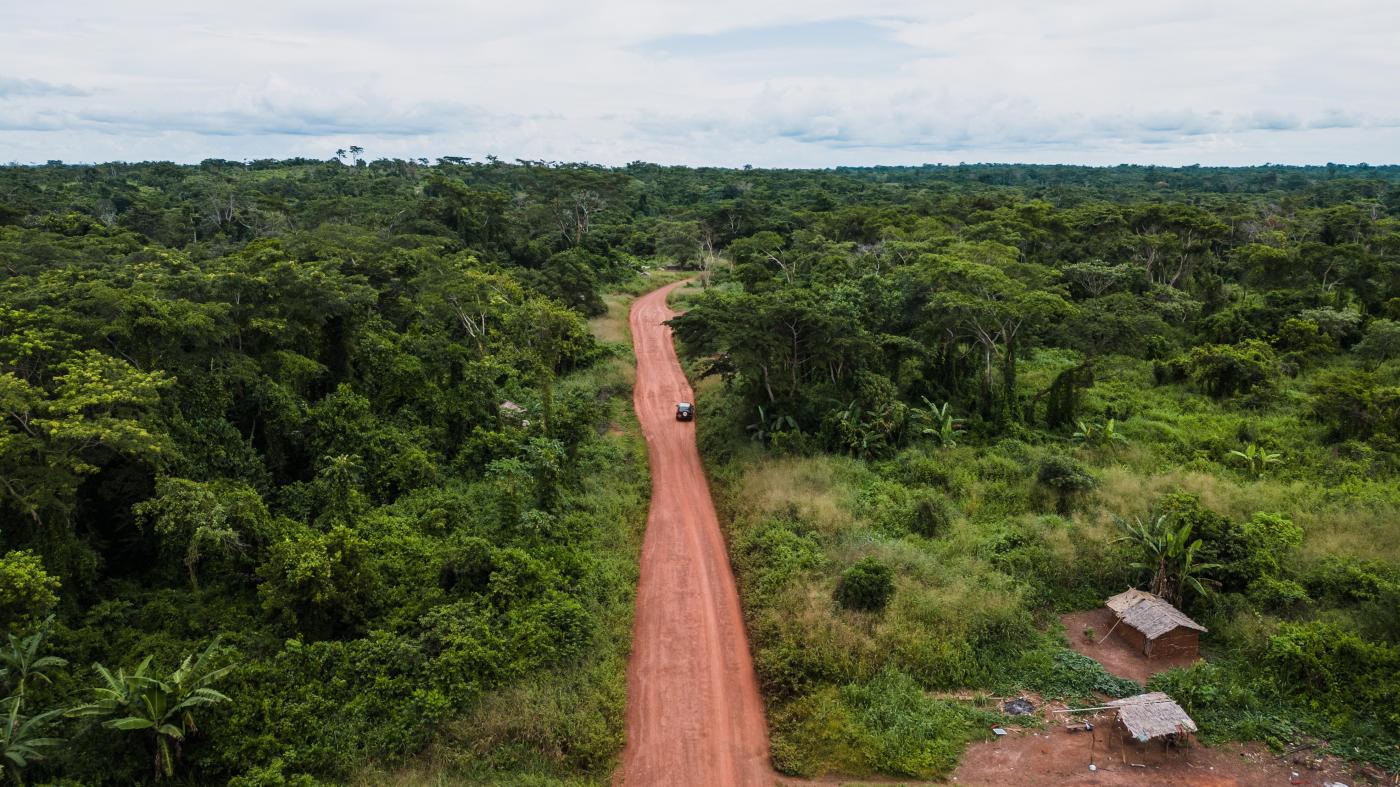 L'Amazonie, une forêt à protéger