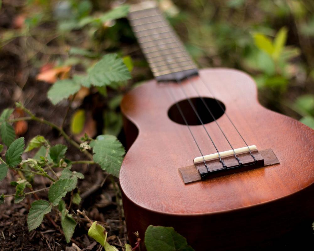 Musique dans la nature