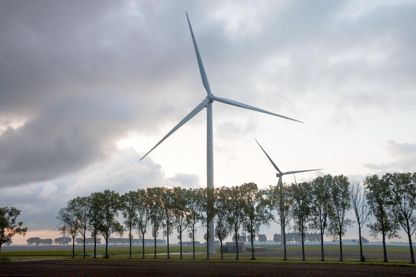 eolienne arbre allemagne