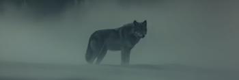 loup géant